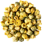 野菊花png