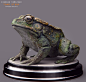 toad, kiarash tamizkar : toad study<br/>as a creature artist i always study on different species,like reptiles,amphibians,insects, ....this is a speed sculpt that i did last night as a practice hope you like it guys.<br/>kiarash tamizkar