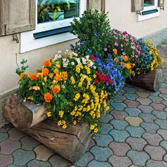 【阿尔卑斯山·夏季】·高山客栈