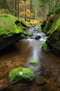 (88) Pinterest