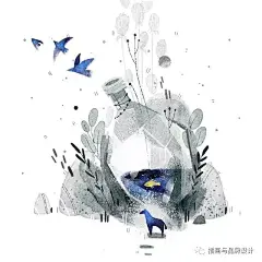 插画与品牌设计  俄罗斯Anastasia Suvorova