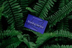 Branding Mockups Lush Series 01 T恤海报名片纸杯模型丛林场景品牌展示设计贴图ps样机素材_UIGUI-国外高品质设计素材共享网