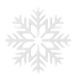 Snowflake  3D Icon