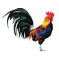 Chinese New Year Rooster Tea Caddy : Newby Teas Chinese New Year Festive Rooster Tea Caddy. Celebrating the Year of the Rooster in 2017. Concept, Design and Art Direction my Murat Ismail. Brief: To create a new festive tea caddy for the Chinese New Year S