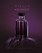 Stella McCartney -- Rose Absolute: 