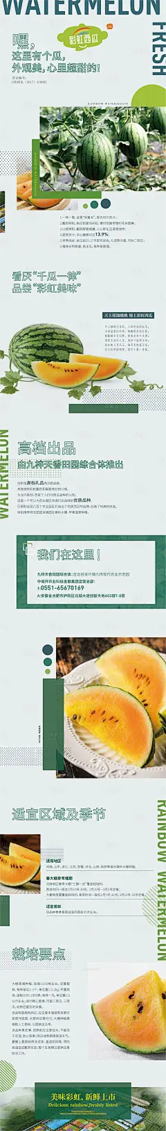 彩虹西瓜长图海报AI广告设计素材海报模板免费下载-享设计