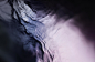 liquid-abstract-water-ripples-waves-still-life-photography-photograpgher-london-josh-caudwell-2.jpg