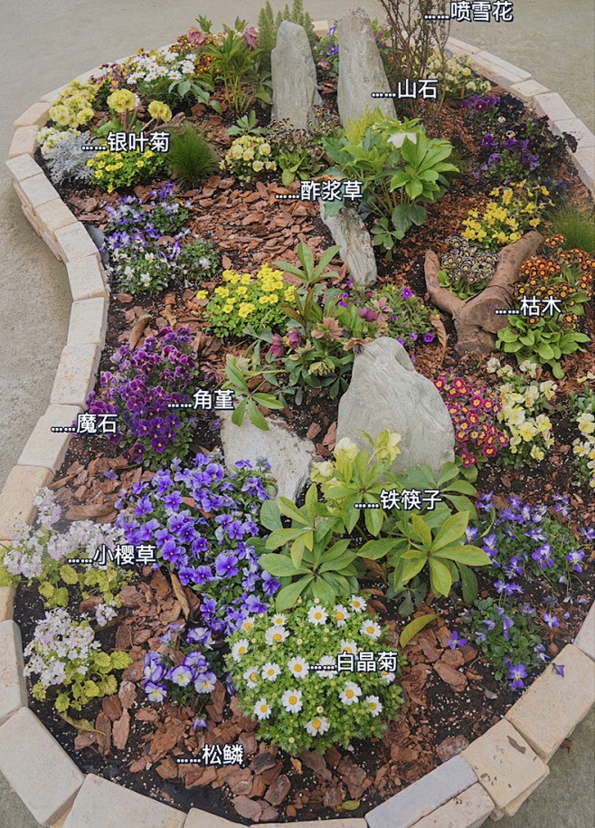 室外庭院花园创意植物DIY自由搭配设计耐...