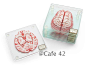 CAFE42 大脑心脏切片杯垫美国正版代购创意礼品Geek极客医学-淘宝网