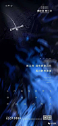 土拍、拿地 - Silence  (33)