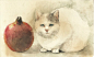 猫先生的花儿日记（山田緑水彩手绘 ）