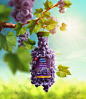 Almarai  Natural Grape : 0 Natural Grape JuiceSenior Art Director: Saif Eldegwi  Photographer: Rita TesandoriPOD: studiobox<a class="text-meta meta-mention" href="/h8vqw30xkh/">@Lowes</a>