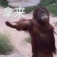 表情包 (108)