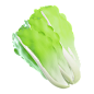 Lettuce 3D Illustration