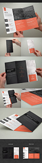 Minimal Multipurpose Trifold Brochure on Behance: 