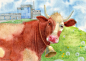 cow smile calendar