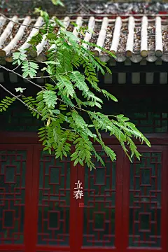 [二十四节气]：立春&lt;寻根文化太美&gt;&lt;微信公众号 致中文化&gt;