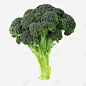 绿色西兰花高清素材 产品实物 蔬菜 西兰花 食物 免抠png 设计图片 免费下载