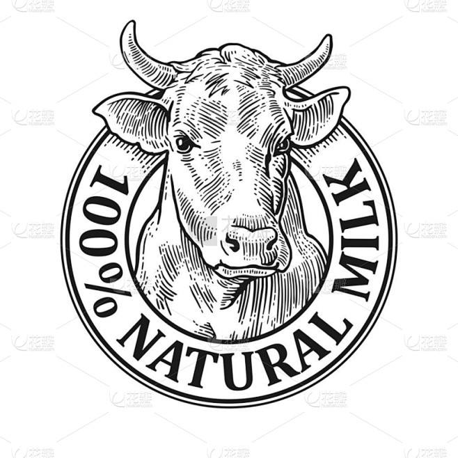 牛头。100 自然的牛奶。复古矢量雕刻