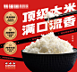 米饭灯箱-源文件