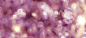 紫色,梦幻,闪亮,星光,星点,光斑,海报banner,质感,纹理图库,png图片,网,图片素材,背景素材,3532462@北坤人素材