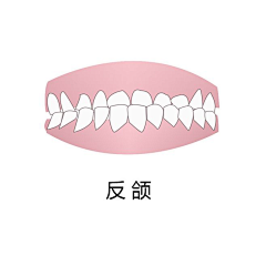 想你丫123采集到口腔
