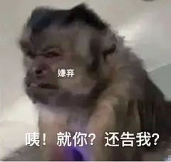 临时插播：吗喽表情包汇总6 - 小红书