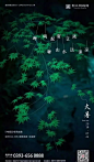 大暑
