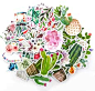 Navy Peony Watercolor Flower,Cactus and Succulent Plants Sticker Pack| Mini Waterproof Decals for Laptops, Water Bottles and Phones| Artsy Floral Stickers for Your Scrapbooking and Bullet Journaling