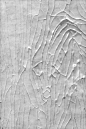 建筑结构,混沌,垂直画幅,起源,色板,无人,古老的,抽象,组物体,材料