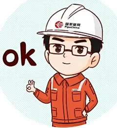 国家管网卡通人物表情包衣服帽子头盔~02