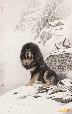 诸行譕常采集到此为佳人