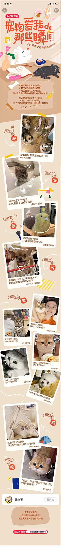 宠物爱我的那些瞬间小红书活动长图