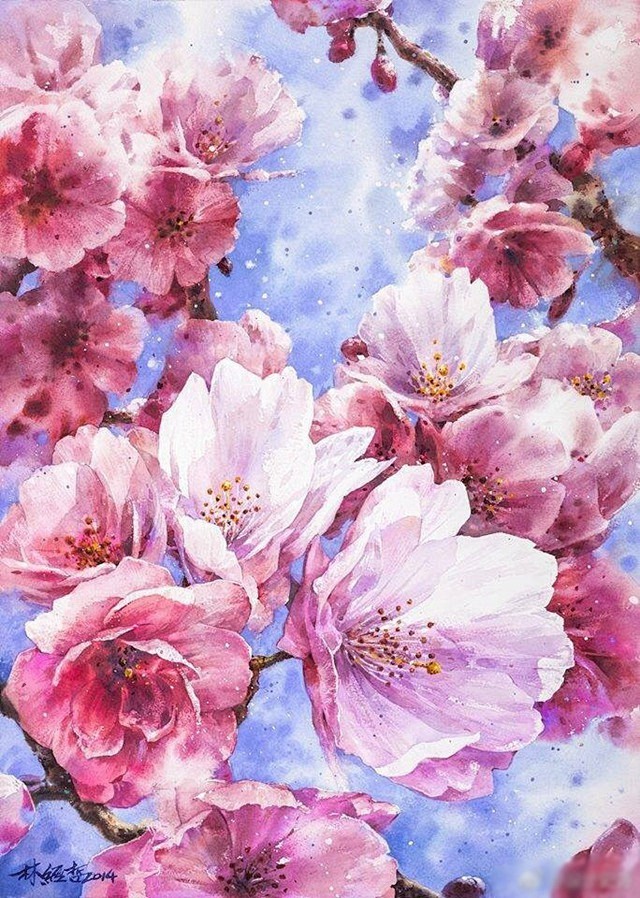 台湾画师林经哲的花朵水彩画图片