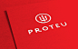 Proteu®建材品牌形象VI设计 | Another Colle 设计圈 展示 设计时代网-Powered by thinkdo3