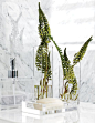 Clear bathroom accessories, Carrara marble and the occasional splash of green feel like they could be found in a spa. {Photography by Virginia Macdonald}