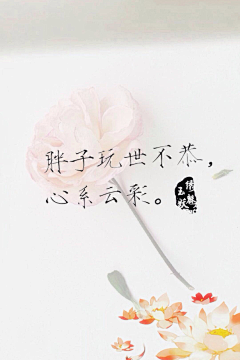 hello小莫莫采集到文字
