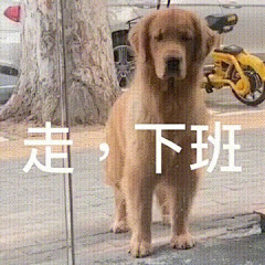 刘波儿~采集到表情包