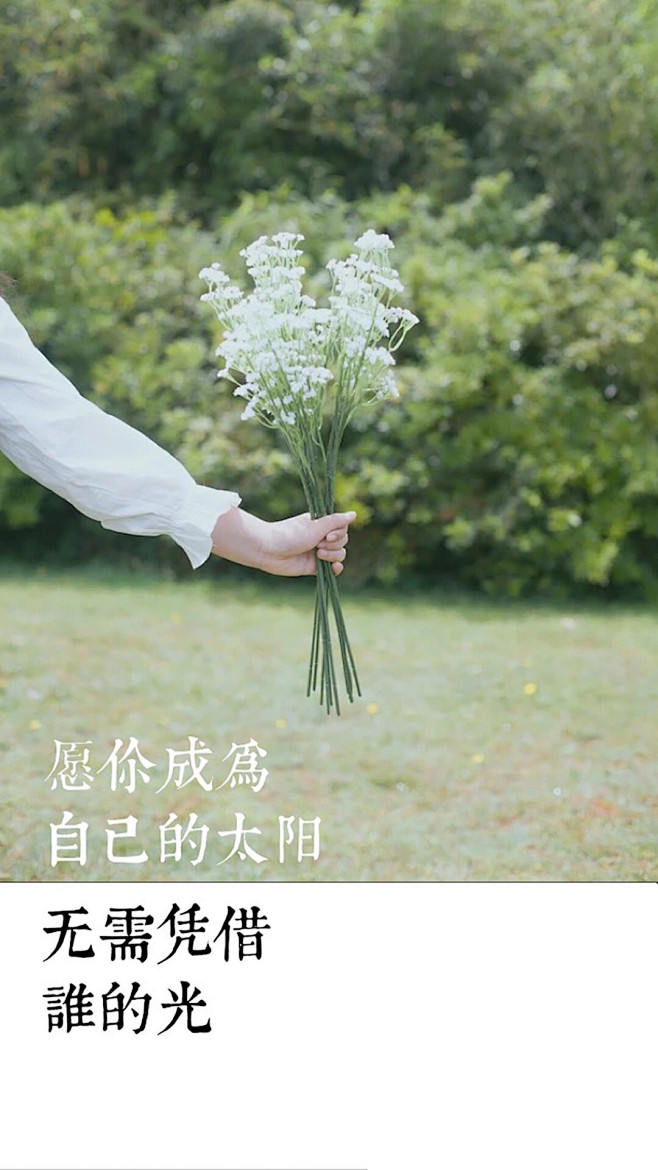 芬芳过往
岁月静好