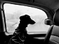 黑白街头 | Lucian Zamfir - 当代艺术 - CNU视觉联盟