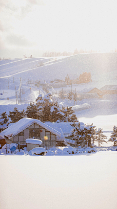 哎嘿嘿嘿呦采集到雪