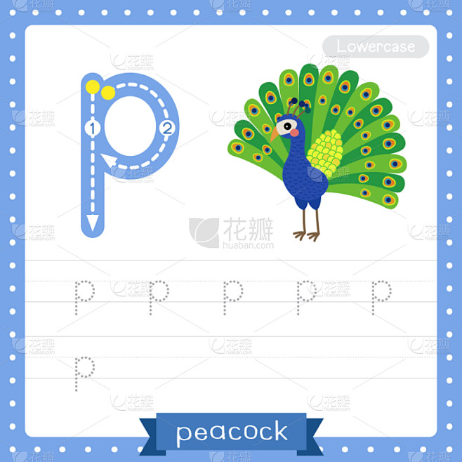 孔雀,英文字母p,痕迹,小写,英语,闪卡,字母,小学,连字符,动物