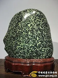 藏玉
