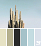 Cacti Color | Design Seeds : { cacti color } image via: @in_somnia_