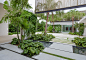 Pine Tree South Garden | Raymond Jungles, Inc.