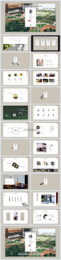 茶叶 ppt