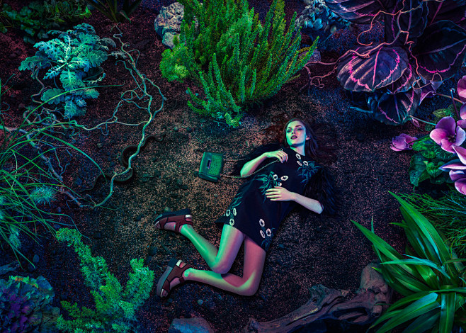PARADISE LOST : Fash...