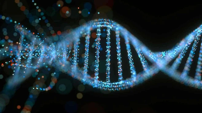 DNA-花瓣网