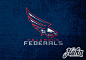 Columbus Federals - Concept Sports Logo : This is a portfolio piece of a stylized American bald eagle on the attack.Made in 2011.