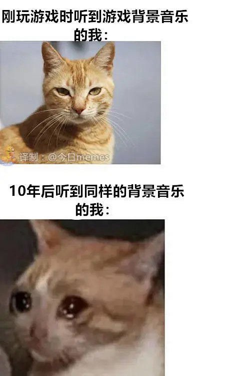 发点攒了一段时间的图_meme图吧_百度贴吧-花瓣网
